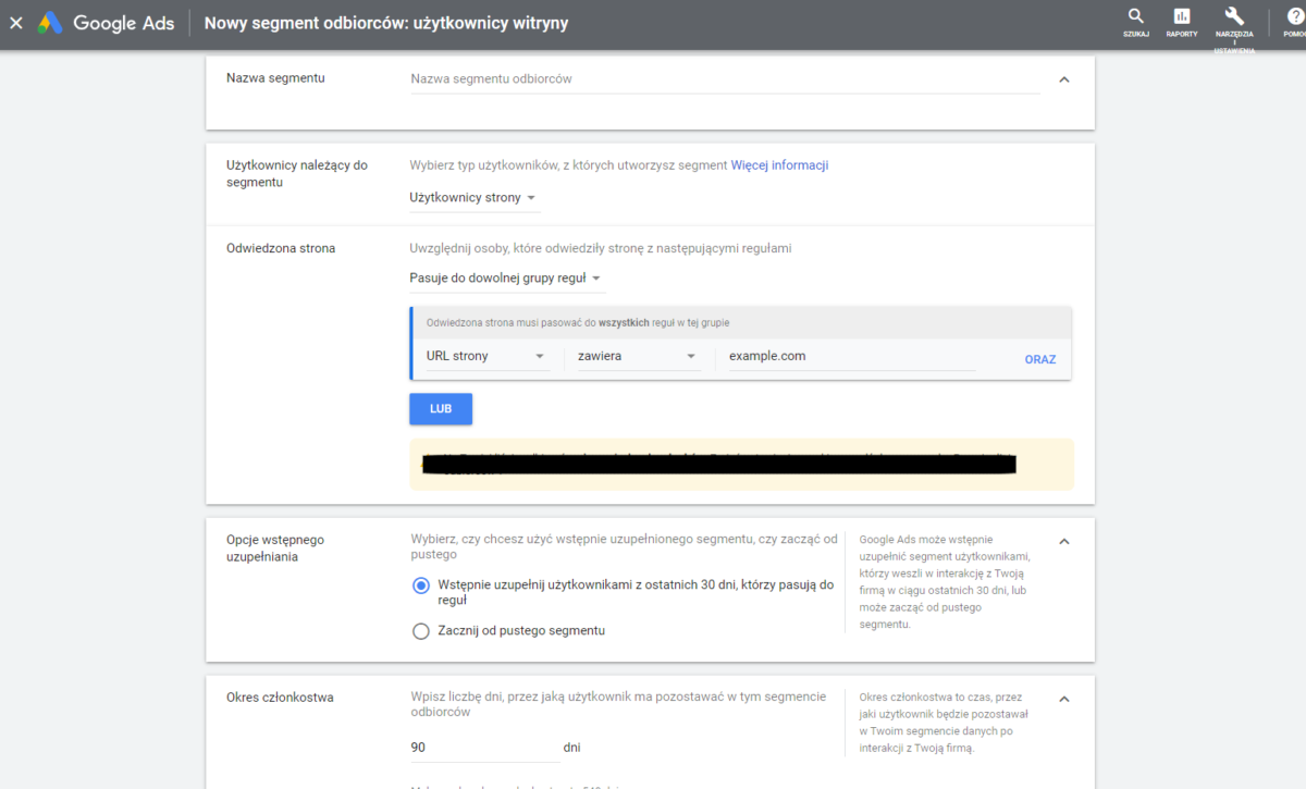 segment danych google ads